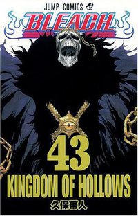 BLEACH―ブリーチ― 43 (集英社 2010)