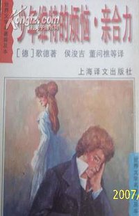 少年维特的烦恼 亲合力 (上海译文出版社 1996)