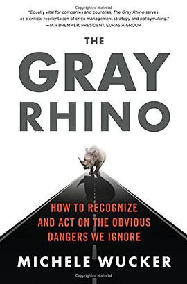 The Gray Rhino