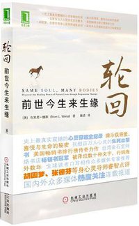 轮回 (机械工业出版社 2011)