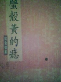 蟹壳黄的痣 (天地图书 2006)