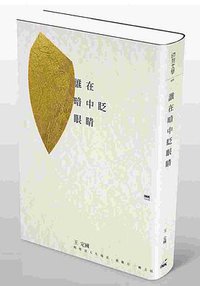 誰在暗中眨眼睛 (INK印刻出版公司 2014)