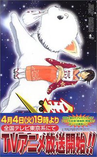 銀魂 (第4巻) (ジャンプ・コミックス) (集英社 2004)