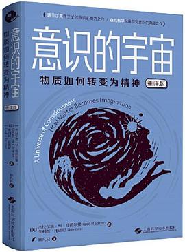 意识的宇宙(重译版)