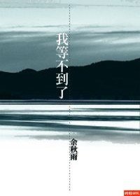 我等不到了 (時報出版 2010)