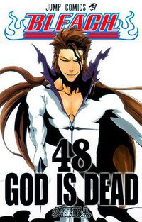 BLEACH―ブリーチ― 48 (集英社 2010)