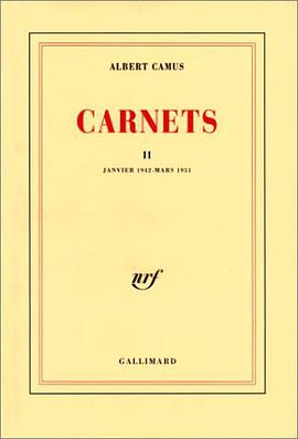 Carnets, tome 2