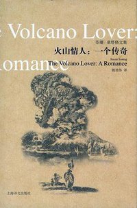 火山情人 (上海译文出版社 2012)