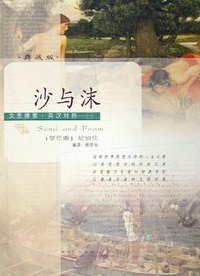 沙与沫 (陕西人民出版社 2005)