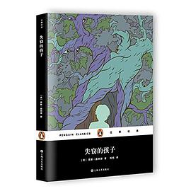 失窃的孩子