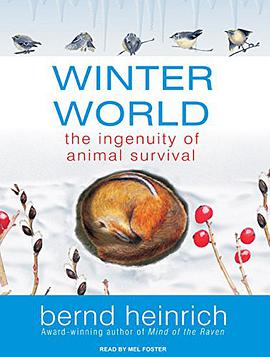 Winter World