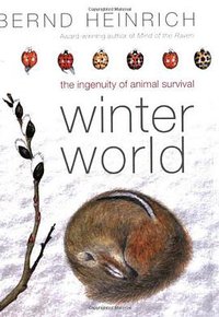 Winter World (Ecco 2003)