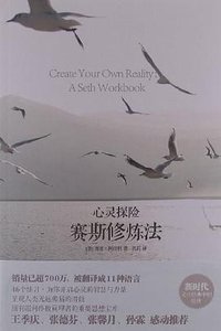 心灵探险 (华夏出版社 2013)