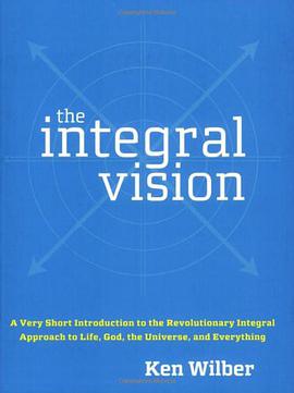 The Integral Vision
