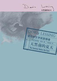 天黑前的夏天 (译林出版社 2016)