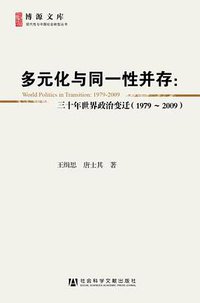 多元化与同一性并存 (社会科学文献出版社 2011)