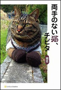 両手のない猫、チビタ (ソフトバンククリエイティブ 2009)