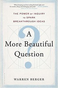A More Beautiful Question (Bloomsbury USA 2014)