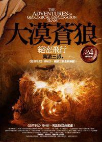 大漠蒼狼之4:絕密飛行