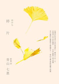碎片 (木馬文化事業有限公司 2013)