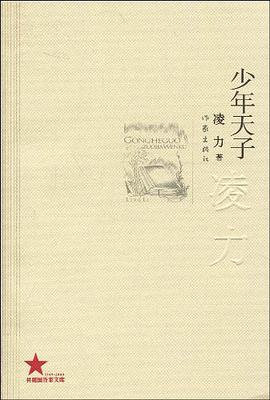少年天子