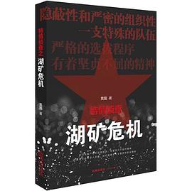 特情侦查之湖矿危机