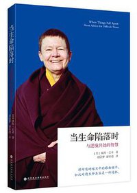 当生命陷落时 (深圳报业集团出版社 2013)