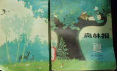 森林报.夏 (少年儿童出版社 1982)