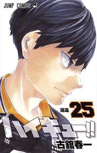 ハイキュー!! 25 (集英社 2017)