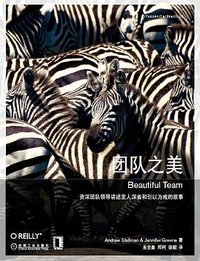 团队之美 (机械工业出版社 2010)