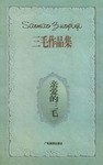 亲爱的三毛 (广东旅游出版社 2001)
