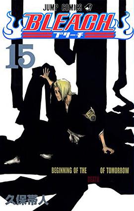 BLEACH―ブリーチ― 15