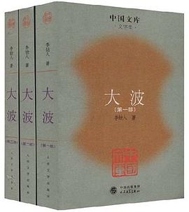大波（全三册）