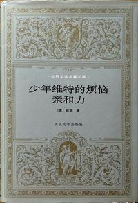 少年维特的烦恼 亲和力 (人民文学出版社 1995)