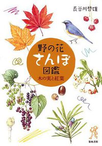 野の花さんぽ図鑑―木の実と紅葉 (築地書館 2011)