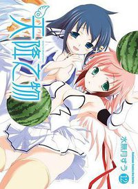 天降之物 12 (台灣角川 2011)