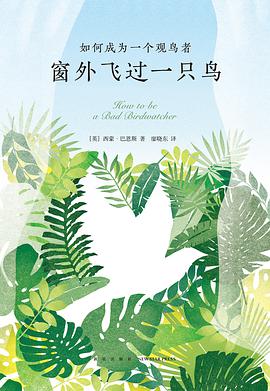 窗外飞过一只鸟