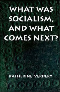 What Was Socialism, and What Comes Next? (Princeton University Press 1996)