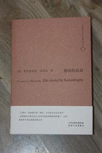 德国的浩劫 (天津人民出版社 2014)