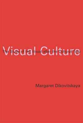 Visual Culture