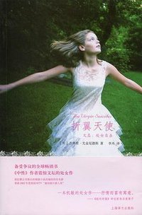 折翼天使 (上海译文出版社 2010)