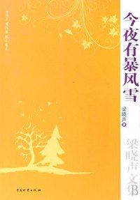 今夜有暴风雪 (中国物资出版社 2008)