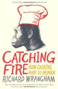 Catching Fire (Profile Books 2009)