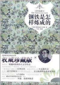 钢铁是怎样炼成的 (中国画报出版社 2012)
