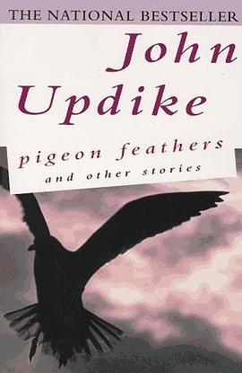 Pigeon Feathers