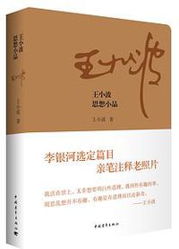 王小波思想小品 (中国青年出版社 2015)