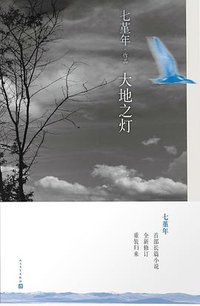 大地之灯 (人民文学出版社 2014)