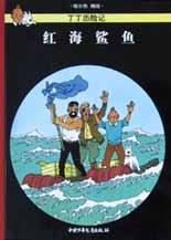 红海鲨鱼
