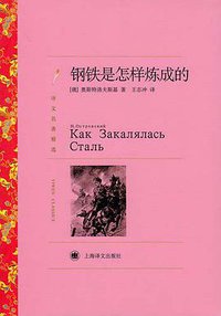 钢铁是怎样炼成的 (上海译文出版社 2011)
