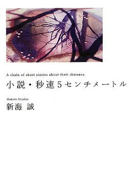 小説・秒速5センチメートル